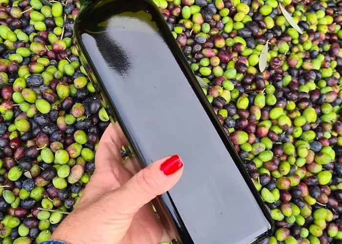 Gli Ulivi - Calafate & Mountain View *