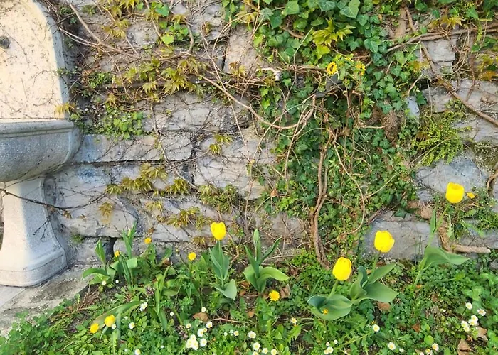 Gli Ulivi - Calafate & Mountain View