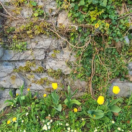 Gli Ulivi - Calafate & Mountain View