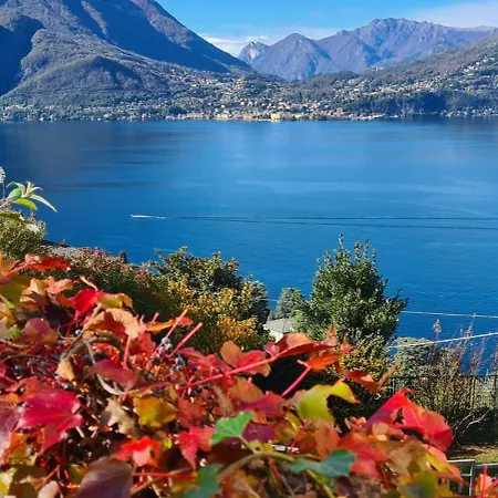 Gli Ulivi - Calafate & Mountain View Villa