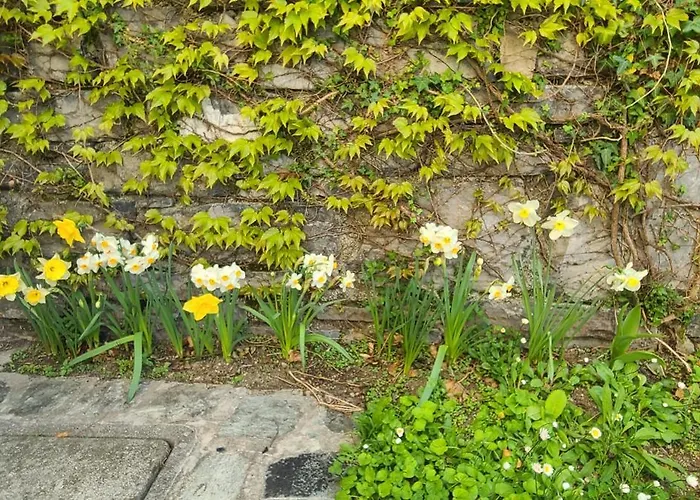 ヴィラ Gli Ulivi - Calafate & Mountain View ペルレード