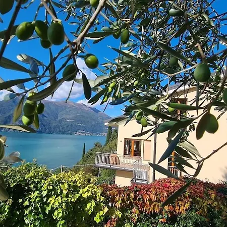 Gli Ulivi - Calafate & Mountain View