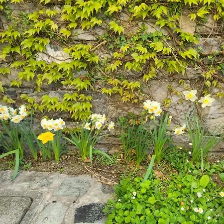 Villa Gli Ulivi - Calafate & Mountain View Perledo