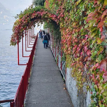 Villa Gli Ulivi - Calafate & Mountain View Perledo